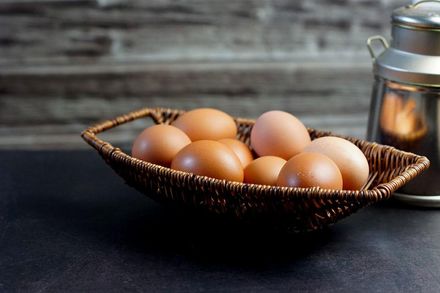 別擔心膽固醇！雞蛋富含omega-3等5大營養素　護心、抗癌還顧骨本