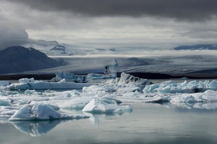 本世紀末近「一半」冰川恐消失　美研究：全球升溫減緩難改定局