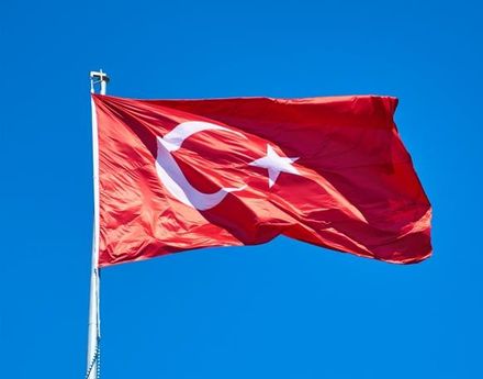 不想再當火雞！美國務院同意土耳其政府更名訴求　正式改為「Türkiye」