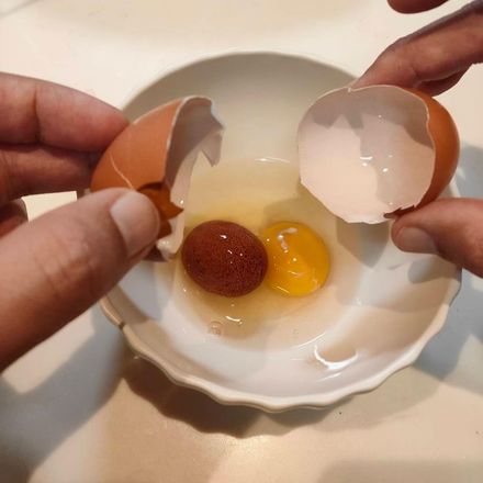 驚喜在身邊！日本僧侶做飯開出稀有「蛋中蛋」　網驚奇：好事要來了