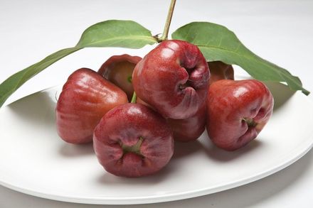 台灣常見的水果來了！醫曝「5大好處」可幫助減重