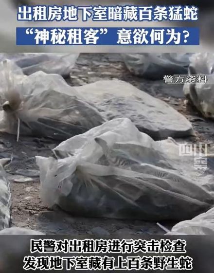 嚇人！租屋處夜晚怪聲不斷　警方調查發現竟藏「上千野蛇」