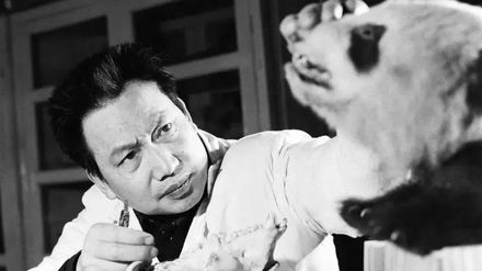 影/大陸「熊貓之父」胡錦矗逝世享年94歲　創「胡氏方法」開拓研究國寶先河