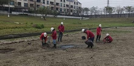 台南超乾！公園「滯洪池大乾涸」現場躺平400魚屍