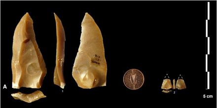 法洞穴挖到驚人證據！研判智人5.4萬年前已用弓箭　改寫歐洲最早紀錄