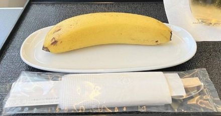 搭商務艙點素食飛機餐「驚見1根香蕉」　網：還附筷子