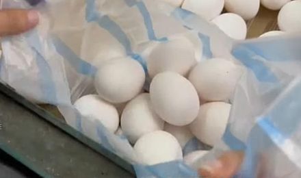 傳農委會施壓　蛋價凍漲「維持每台斤55元」　下周六再商討