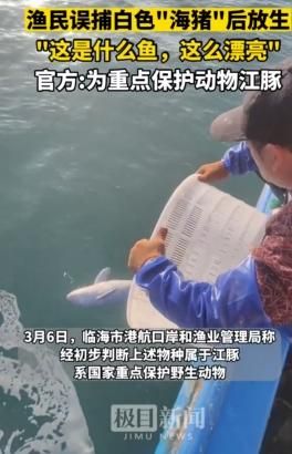 影/漁民捕獲1公尺銀白色「特別生物」　專家曝保育狀態「極度瀕危」