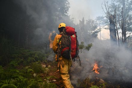 手機警報大響！林務局簡訊通知「森林火災警戒」　8縣市呈最危險等級