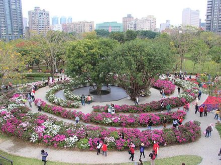 3月台北走春趣！明起賞「蝴蝶花毯」　大安森林公園野餐伴花香