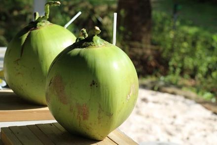 胃食道逆流吐不停！印度男28年來「吃椰子維生」：它治好了我的病