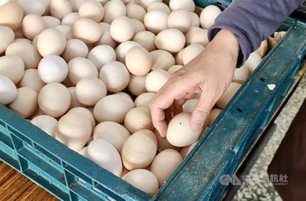 北市蛋商公會擬「無限期休市」抗議凍漲蛋價　農委會回應了