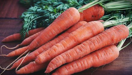 「平民人蔘」紅蘿蔔富含這營養素 是維生素A前驅物質