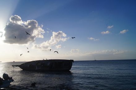 突尼西亞再傳難民船沉船事故　4人獲救34人失蹤