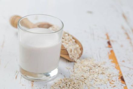 網瘋4種奶「最佳飲用時間」！醫直言：燕麥奶是澱粉　喝對還能增肌
