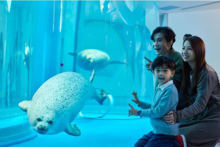 北台灣趣樂園/台北新樂園12歲以下免費　桃園水族館親子套票800元