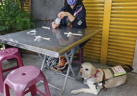 影/宜蘭小籠包名店拒導盲犬入內惹眾怒　店家：第一次遇到