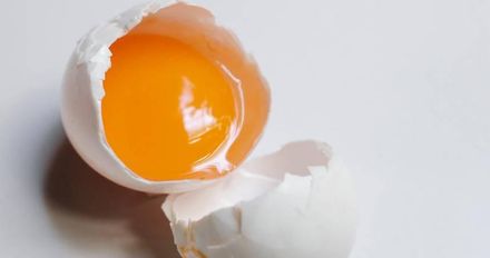 煮熟雞蛋出現「黑色斑點」蛋黃顏色深淺不同？　農委會釋疑