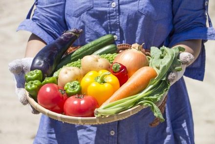 網傳「水果不能跟油脂一起吃」 學者：無法接受！營養關鍵在飲食平衡和多樣性