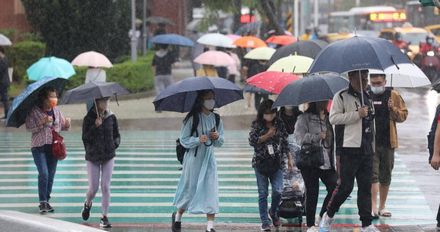 南部有降雨機率！鋒面接近這天有水氣　開工周末北部低溫17度