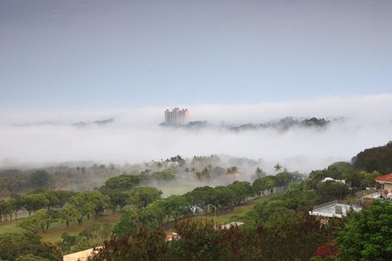 影/夢幻仙境！仁義潭大樓雲霧繚繞如海市蜃樓　網驚呆：太美了