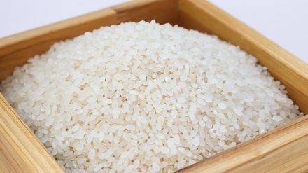 「這種米」放冷後「抗性澱粉」暴增　醫教授減肥選對米