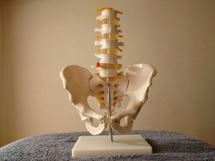 台女50歲以上每10人就有1人「骨質疏鬆」！ 存骨本4招、30歲是關鍵