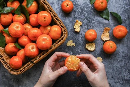 逆齡回春！柑橘果皮新用處　研究發現：橙皮素助長壽