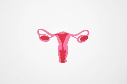 不孕者曙光！英國首例活體子宮移植　雙寶姐「捐子宮」不孕妹