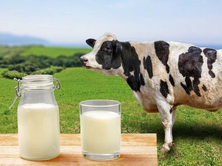 1張圖看懂4種無糖奶的營養　當心「這款奶」有澱粉　別被騙了！