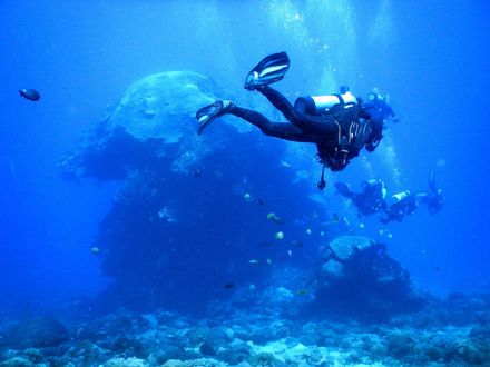 綠島海底千年大香菇「生態消退」！珊瑚覆蓋剩35％　未來恐再也看不到！