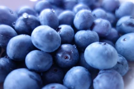 藍莓季來了！護細胞、調節血糖好處多　學者提醒「2族群」避免食用！
