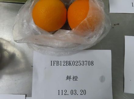 快訊/香吉士鮮橙農藥超標！逾2.3萬公斤全數退運銷毀