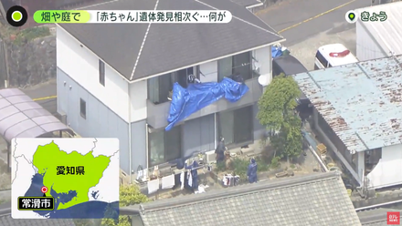 庭院除草挖到嬰兒遺體...日本一天發生兩起遺棄嬰屍案　引發熱議