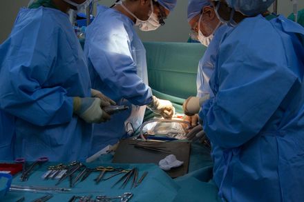 全國體重最懸殊腎臟移植手術！ 3歲女童成功移植「成人腎臟」