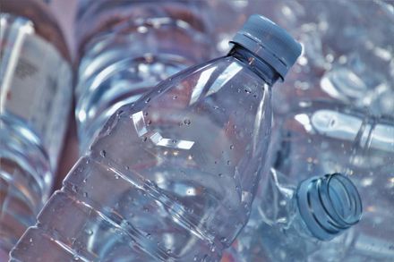 科學家發現2種黴菌可「快速分解塑膠」　有望消滅全球33%塑膠垃圾