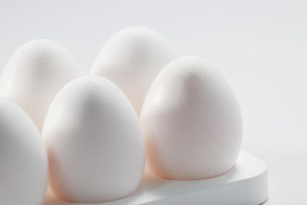 蛋怎麼保存較新鮮？ 學者揭「圓端方向」不是關鍵