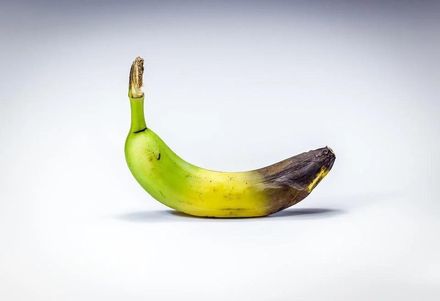 網傳香蕉變黑「裡面都是蟲」別吃！專家揭「1情況」才會有蟲