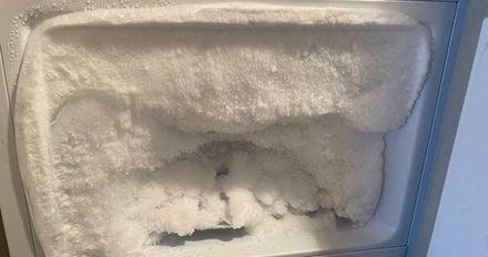 超扯！租屋男隔數月再開冰箱　冷凍庫「全結霜」成一櫃白雪