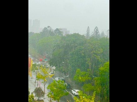 台南曾文水庫集水區現雨勢　網友讚「及時雨下的正是時候」