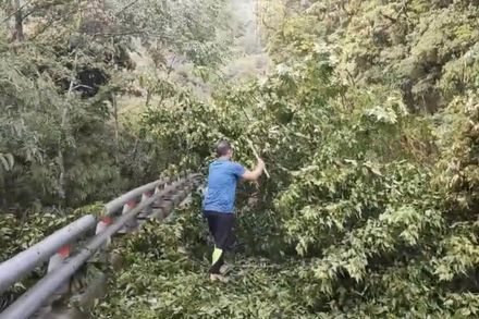 梅雨鋒面強襲！台東山區大雨　南橫公路大樹橫倒路面