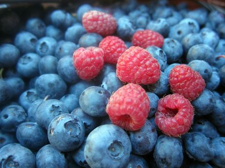 冷凍綜合莓為何有A肝病毒？專家提2大可能性　不慎感染康復前後應避免喝1飲品