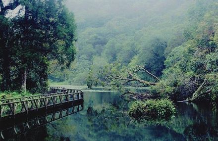 快訊/宜蘭福山植物園收炸彈恐嚇！ 緊急休園進行搜索