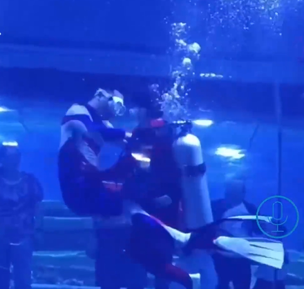 影/誤會大了！網傳海洋館潛水員水底互毆？　館方：是「超人大戰怪獸」表演