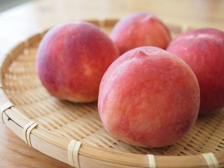 迎接水蜜桃產季！鐵質比蘋果更多　4招挑選香甜多汁水蜜桃