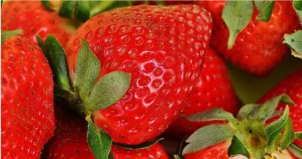 草莓等作物「照輻射」殺菌　食藥署預告8月移農委會管
