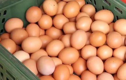 買雞蛋再等等！「這天起」蛋價產地價、批發價「每台斤調降3元」