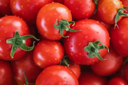 別冷藏這「12種食物」！番茄、黃瓜都中鏢　尤其洋蔥：周圍食材一起變質