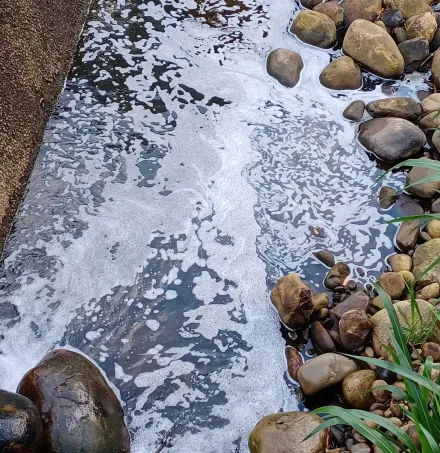 新竹再傳廢水污染！關西牛欄河漂浮不明白色泡沫　環保局檢測水質「又無異狀」挨轟
