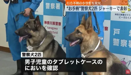 影/警犬尋獲失蹤男童表現傑出　長官頒獎還送香香肉乾犒賞